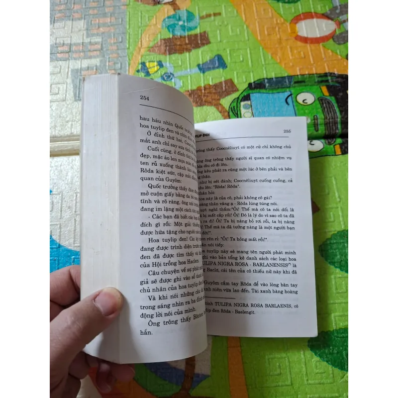 Hoa Tuy Líp Đen 789073