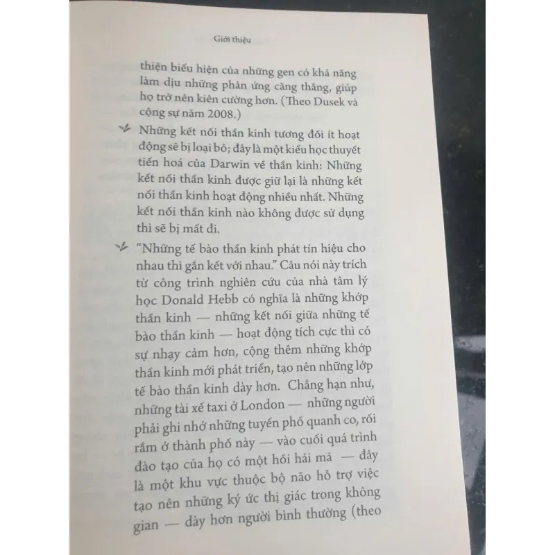 Tích Tiểu Thành Đại - Nuôi Dưỡng Bộ Não Phật Qua 52 Thực Hành Đơn Giản 712422