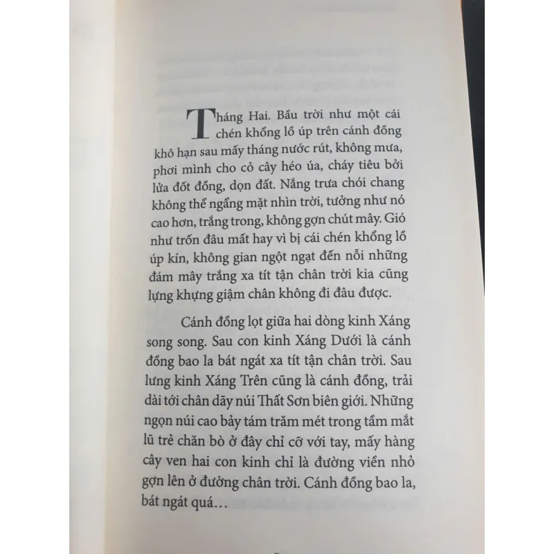 Đốm Lửa Trên Đồng 747388