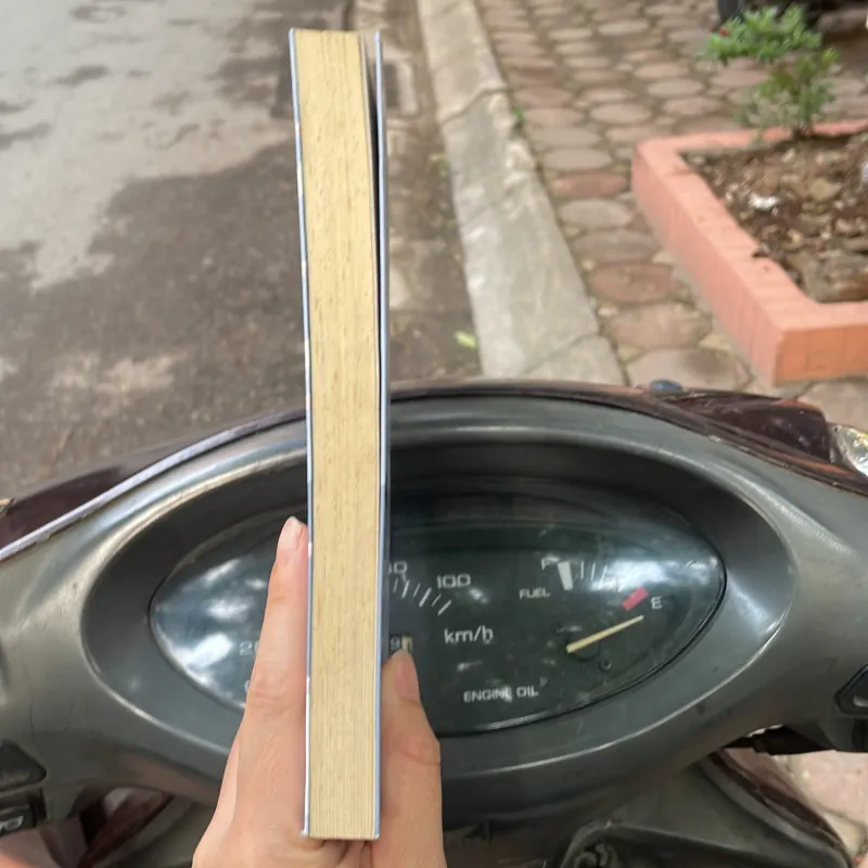 Mẹ sẽ không để con ở lại - Dương Thanh Nga - 2017 - sách tốt  1027314