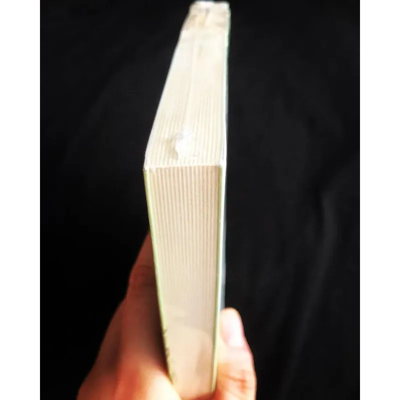 Có nhiều người trong một người - Nguyên Hương 759103