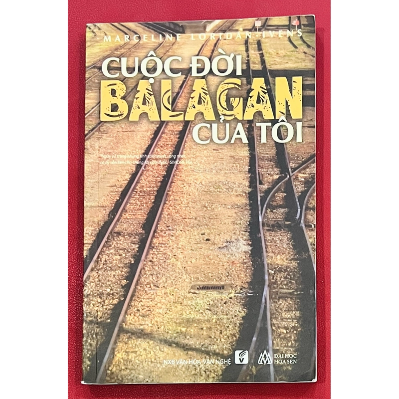 Cuộc Đời Balagan của Tôi 315815