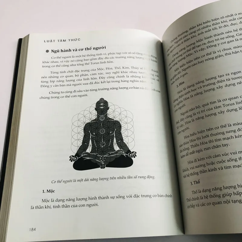 LUẬT TÂM THỨC – Ngô Sa Thạch 600137