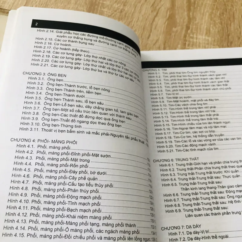 GIẢI PHẪU NGƯỜI - GIẢI PHẪU NGỰC BỤNG 989633