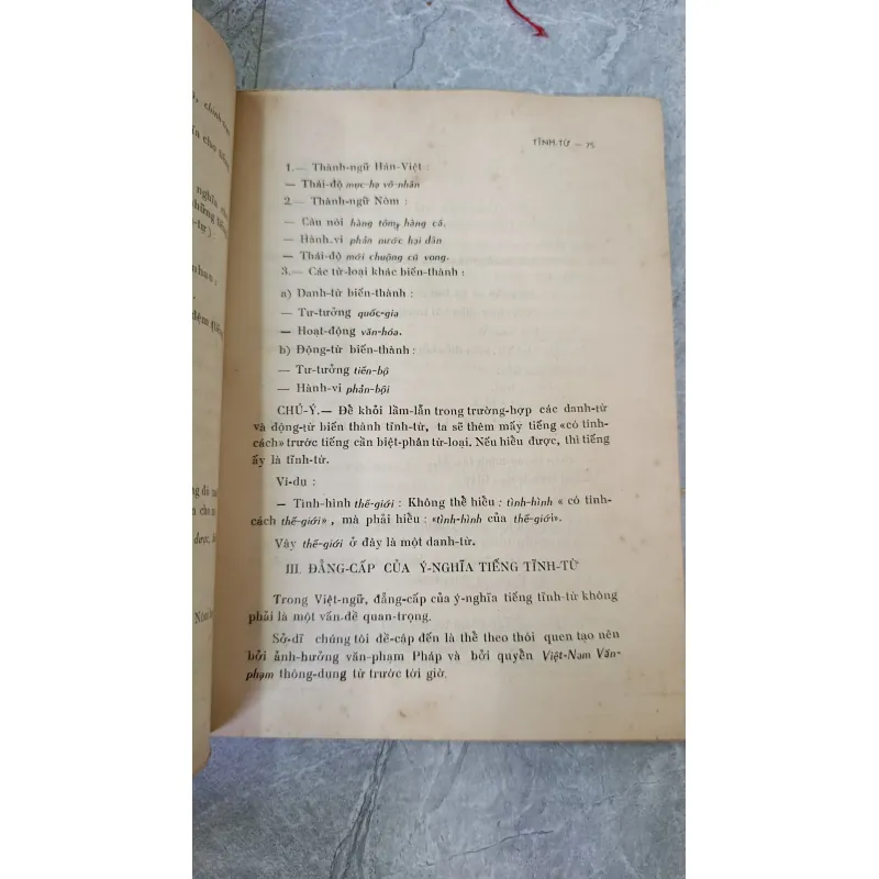 VĂN PHẠM VIỆT NAM - BÙI ĐỨC TỊNH 749515