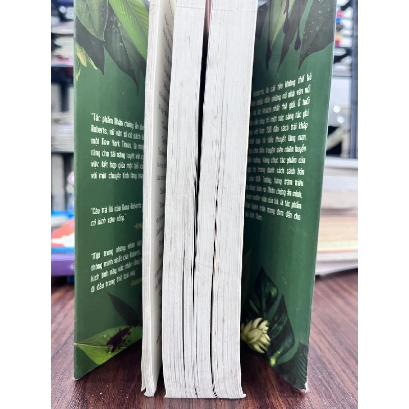 Nhân Chứng Ánh Minh - Nora Roberts 934396