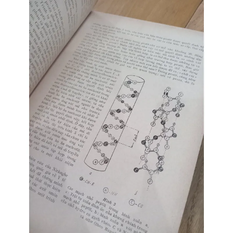 Bệnh lý phân tử - G.s. Antôni Hoóc 574560