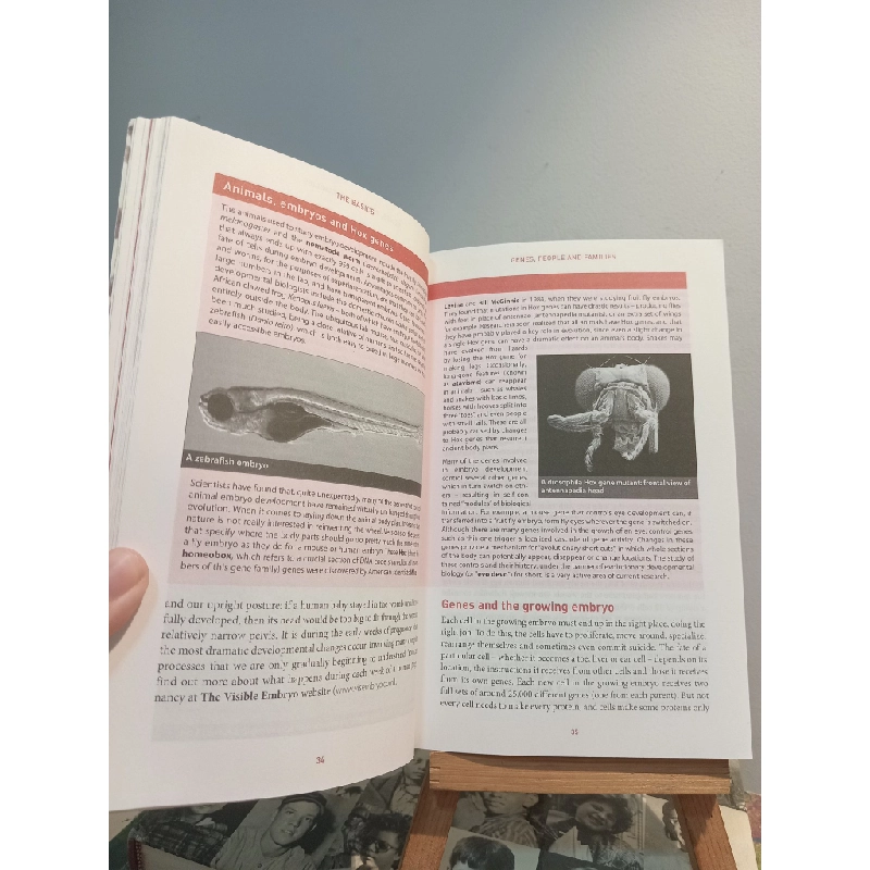 The Rough Guide to Genes & Cloning - Jess Buxton & Jon Turney 453730