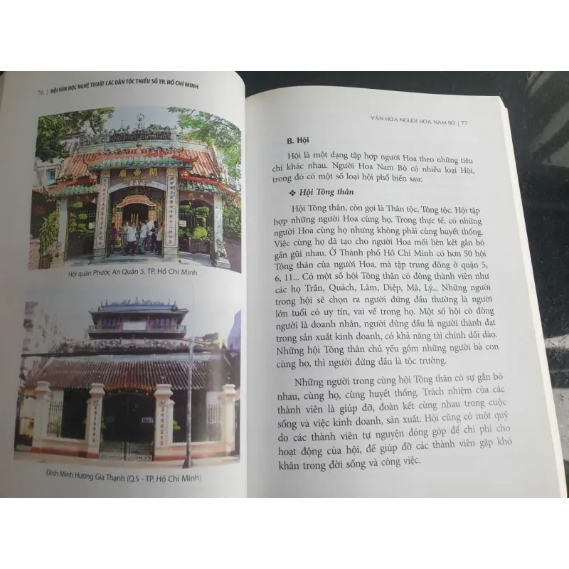 Văn Hóa Người Hoa Nam Bộ 655749