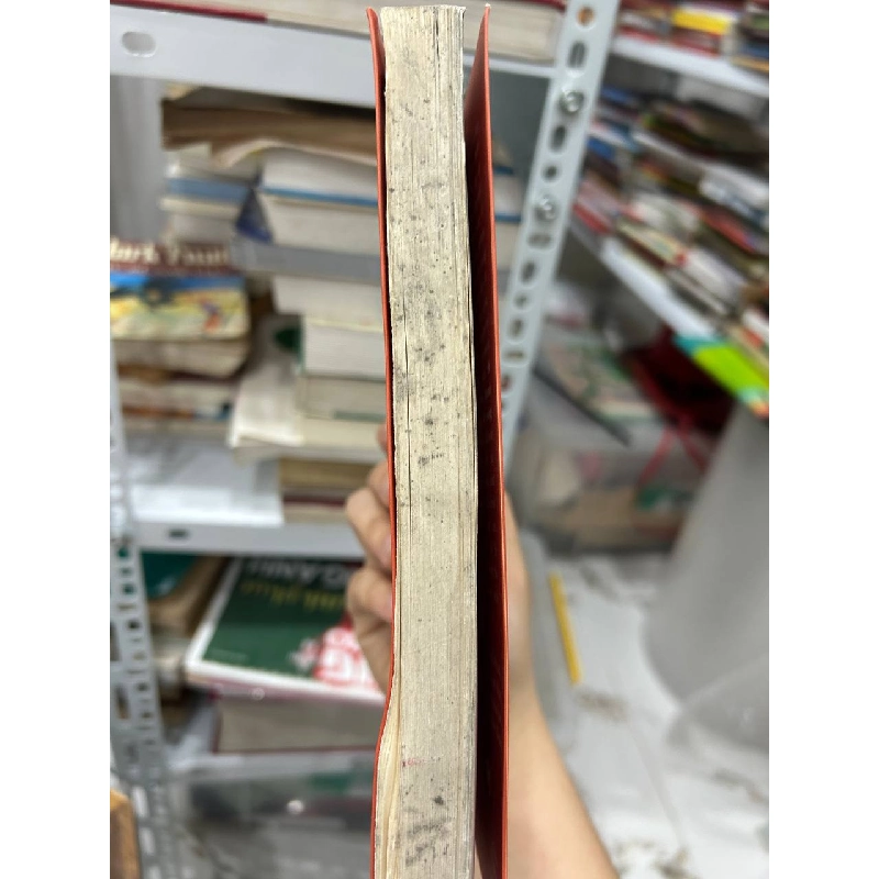 Để Công Việc Trở Thành Tình Yêu Và Lẽ Sống - Jeff Goins - Jeff Goins 994982