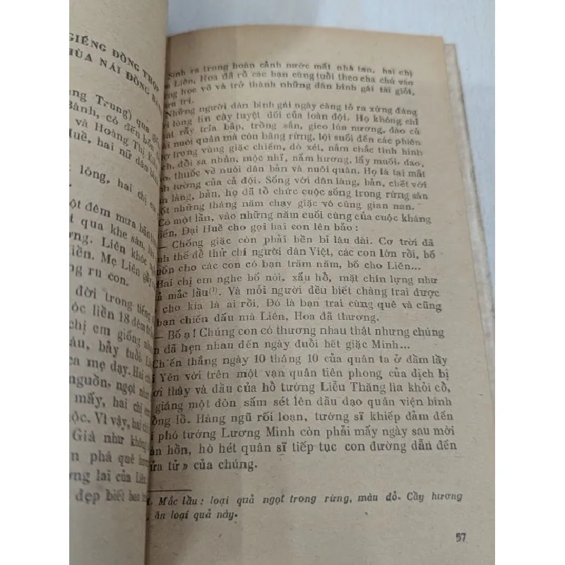 Kỳ tích chi lăng - Nguyễn Trường Thanh 696065