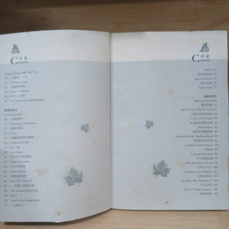 The Most Beautiful English 928323