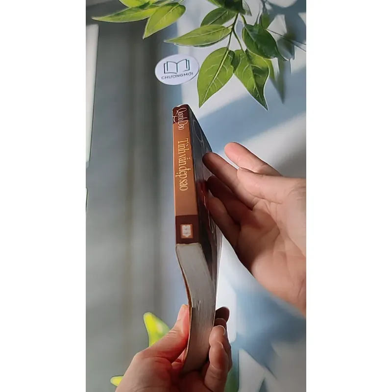 Tình vẫn đẹp sao - Quỳnh Dao 607697