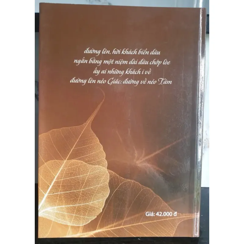 Chuyển một hướng say - Trúc Thiên NXB Hồng Đức 694460