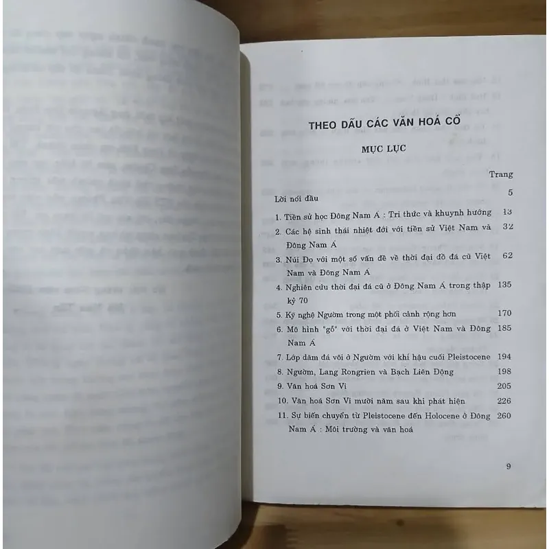 Theo Dấu Các Văn Hóa Cổ - Hà Văn Tấn  698015