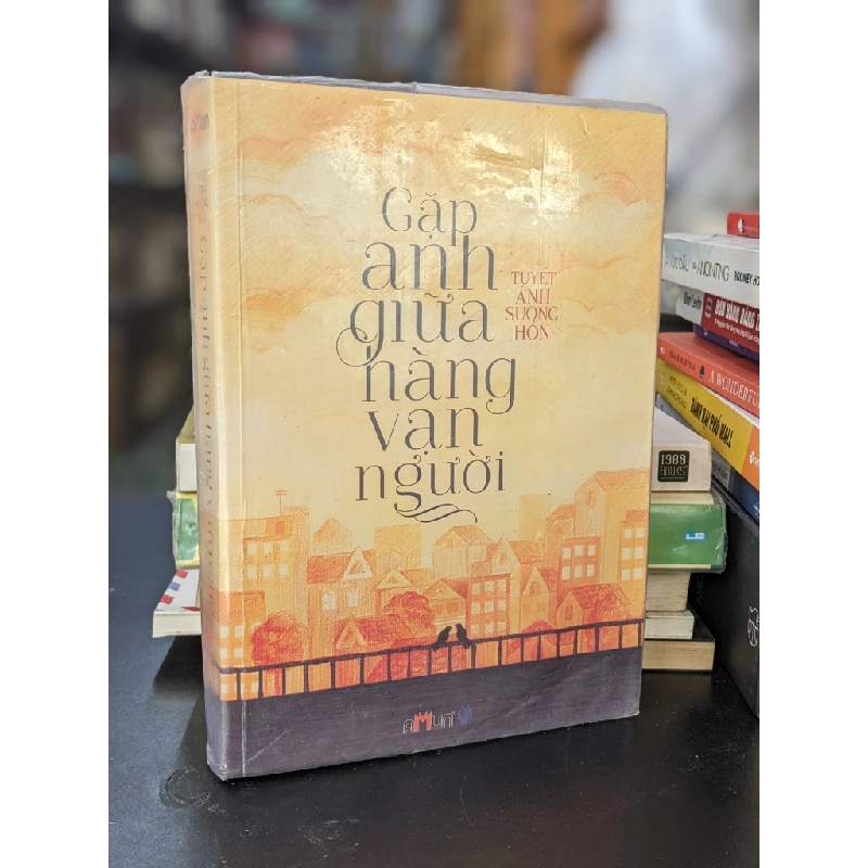 Gặp anh giữa hàng vạn người - Tuyết Ảnh Sương Hồn 450265