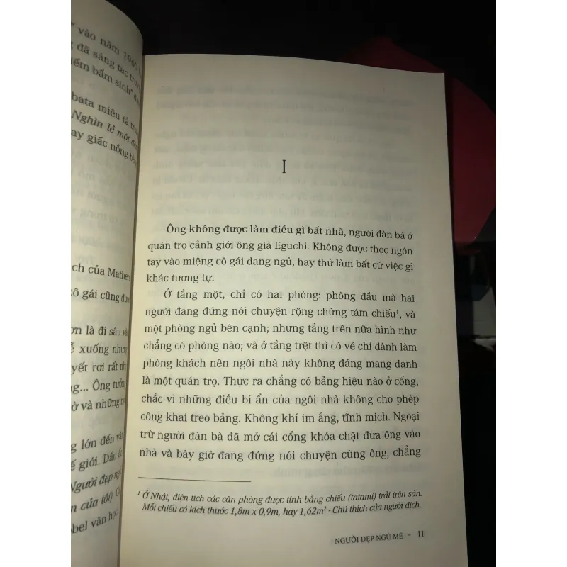 Người đẹp ngủ mê - Yasunari Kawabata 993597