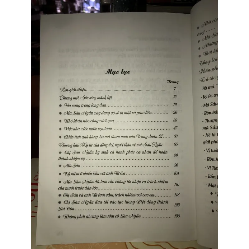 Ngọn Đèn Trong Bão Lửa - Phạm Xuân Trường 761657