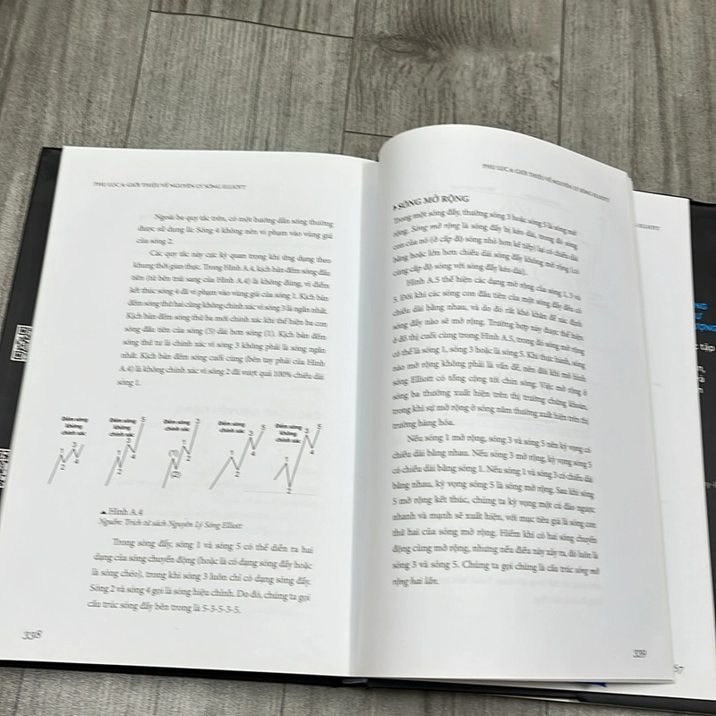 Hướng dẫn giao dịch theo sóng Elliott. 2b5 529576