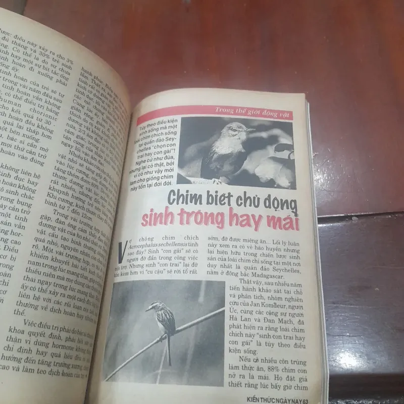 KIẾN THỨC NGÀY NAY số 258 ngày 20-9-1997 592646