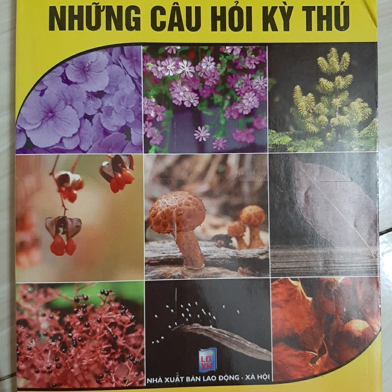 Những câu hỏi kỳ thú KỲ QUAN THẾ GIỚI THỰC VẬT 323610