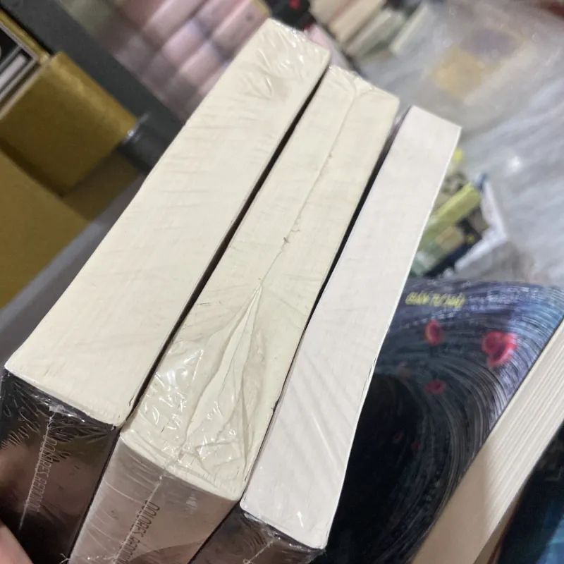 Bộ ba tiểu thuyết trinh thám về thung lũng Baztan Xứ Basque 972493