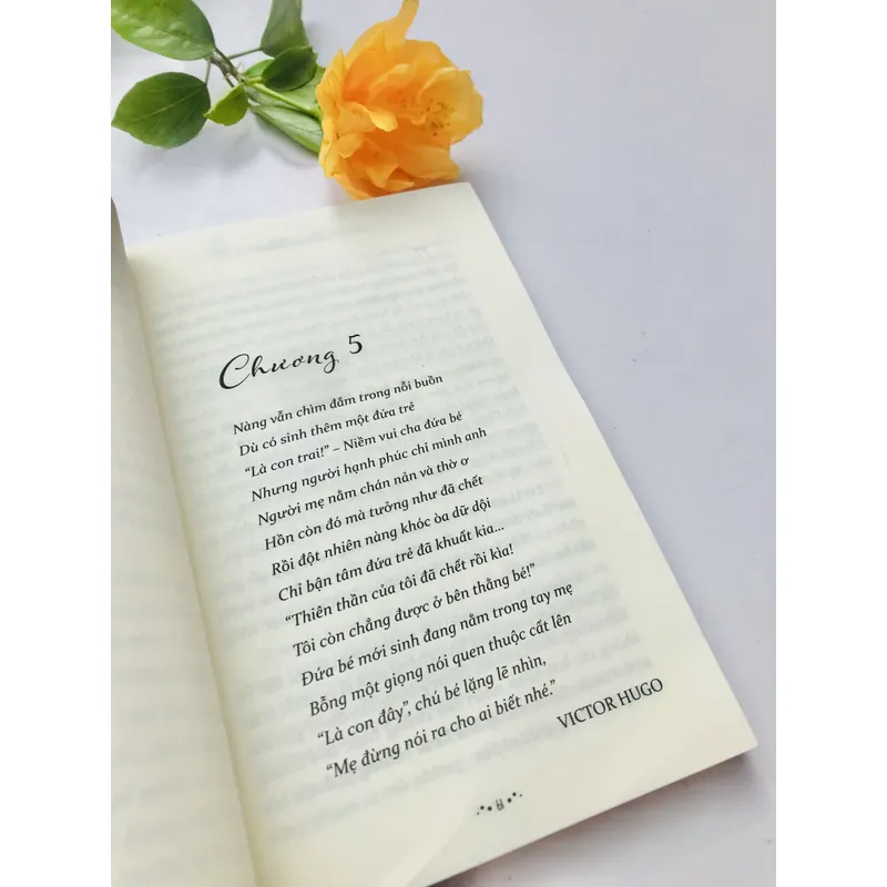 Kiếp nào ta cũng tìm thấy nhau (Brian Weiss)  738069