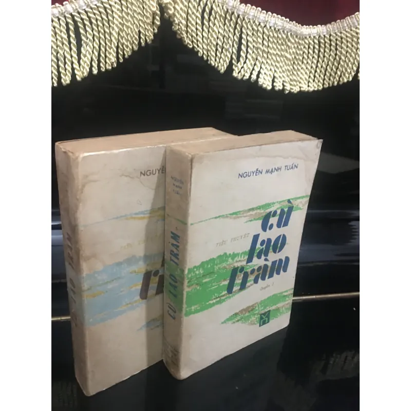 Cù lao chàm 974787