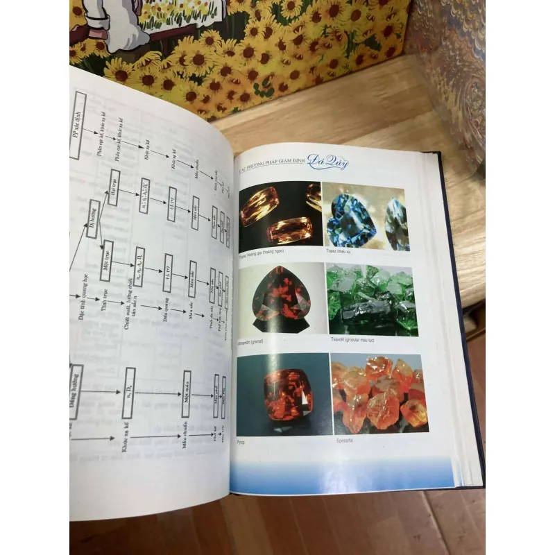 Các Phương Pháp Giám Định Đá Quý - Nguyễn Ngọc Khôi 933894