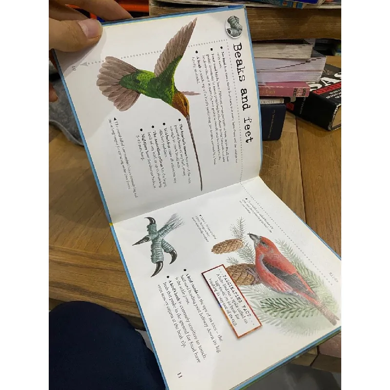 Bulletpoints about Animals 563589