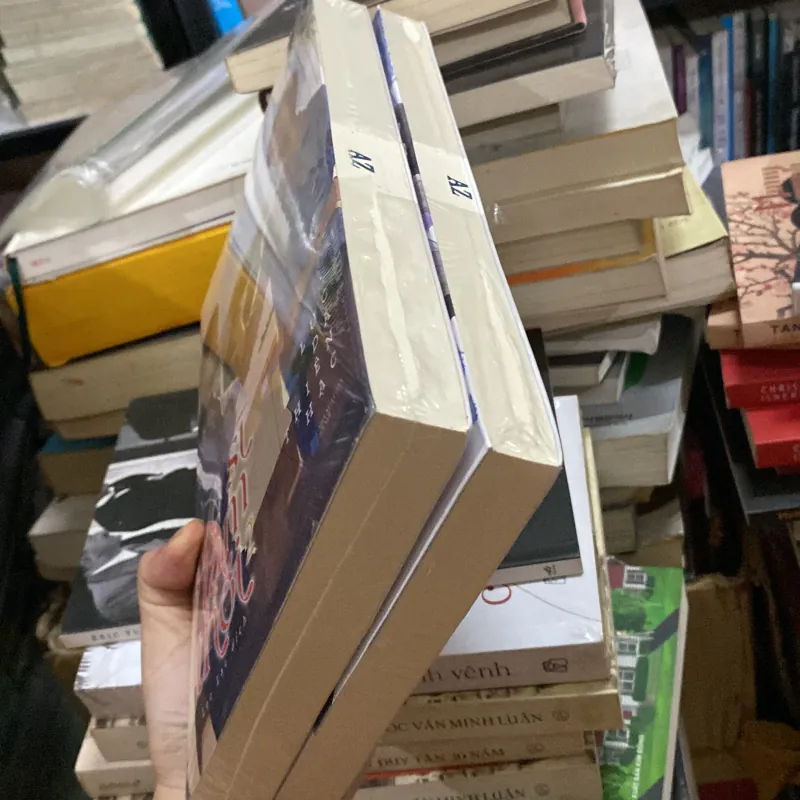 Vệ Sĩ Tạm Thời Đam Mỹ 1021056