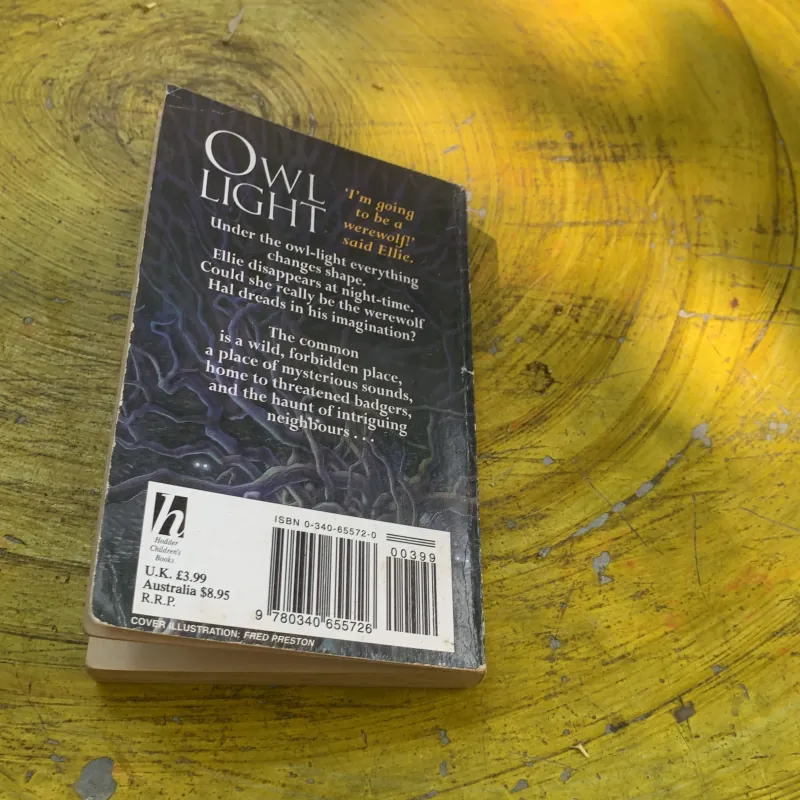 OWL LIGHT - MAGGIE PEARSON 763350