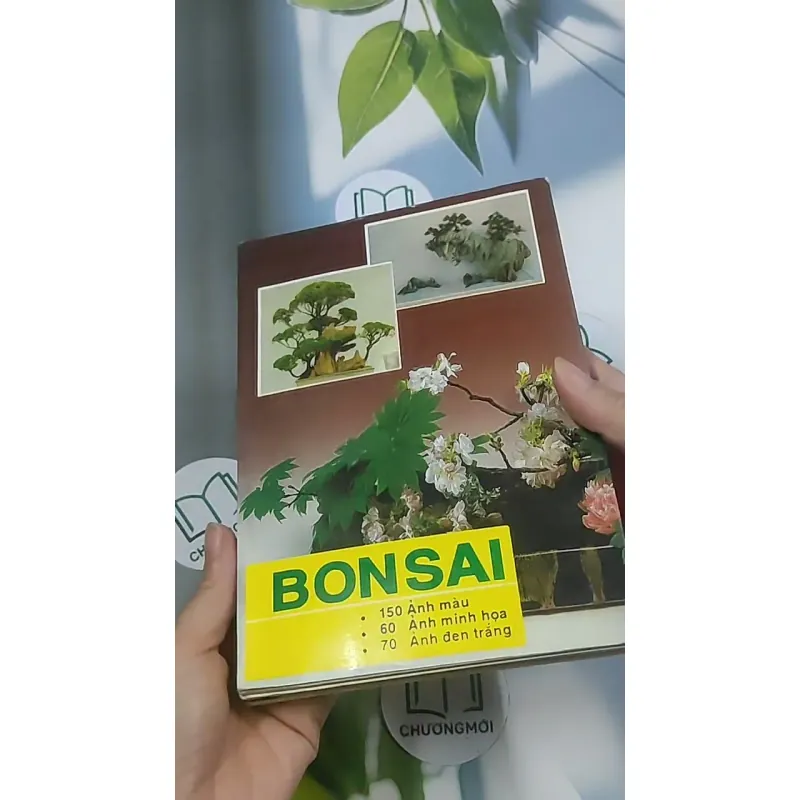 Bonsai: Cây dáng, thế và non bộ - Đỗ Hiệp 694948