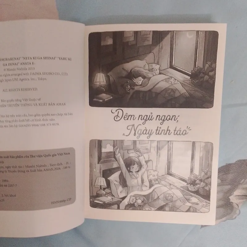 Đêm ngủ ngon ngày tỉnh táo 779088