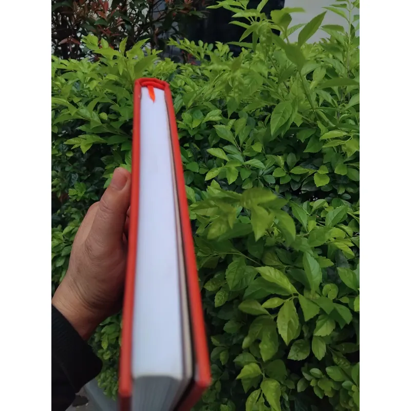 Nhóc Nicolas, quả bóng và những chuyện chưa kể 936598