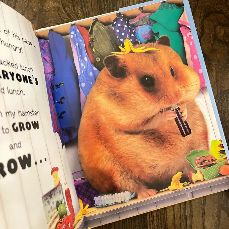 ✨𝑴𝒚 𝑯𝒖𝒎𝒐𝒏𝒈𝒐𝒖𝒔 𝑯𝒂𝒎𝒔𝒕𝒆𝒓 𝑮𝒐𝒆𝒔 𝒕𝒐 𝑺𝒄𝒉𝒐𝒐𝒍✨ 693346