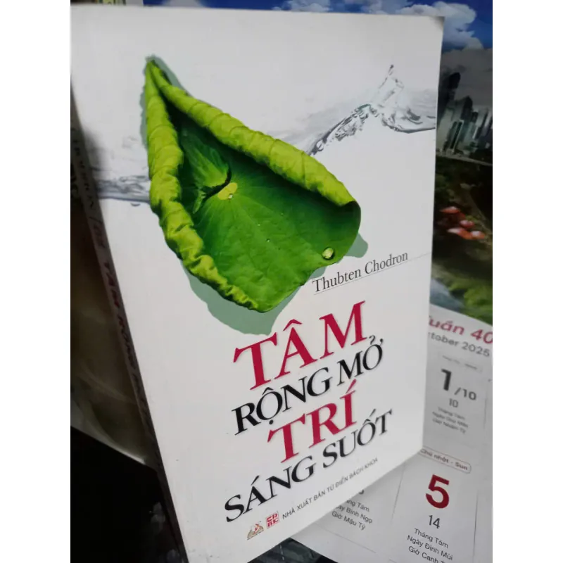 tâm rộng mở trí sáng suốt 593491