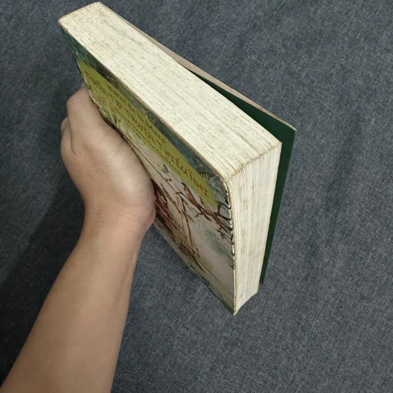 Tuyển tập truyện thiếu nhi - Walter de la Mare 753723