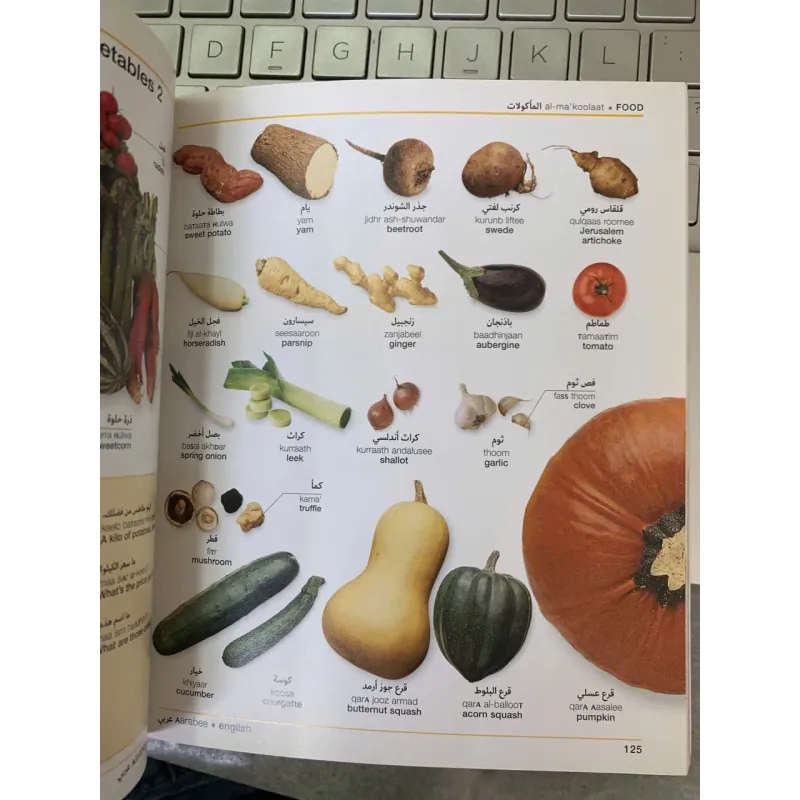 ARABIC ENGLISH BILINGUAL VISUAL DICTIONARY (TỪ ĐIỂN HÌNH ẢNH SONG NGỮ  ANH - Ả RẬP) 763430