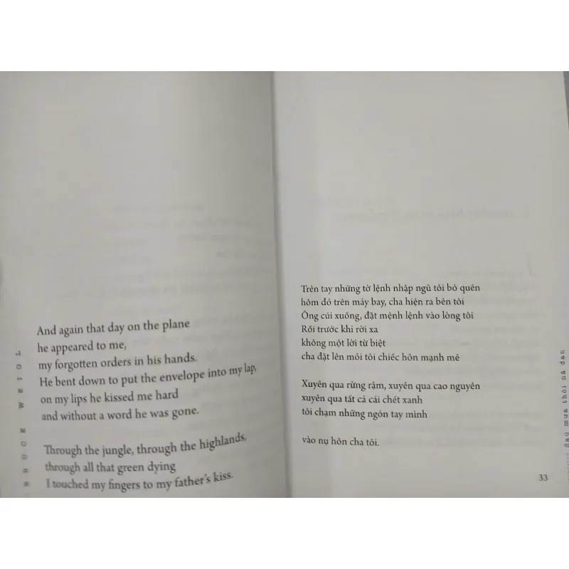 SAU MƯA THÔI NÃ ĐẠN - AFTER THE RAIN STOPPRED POUNDING 593337