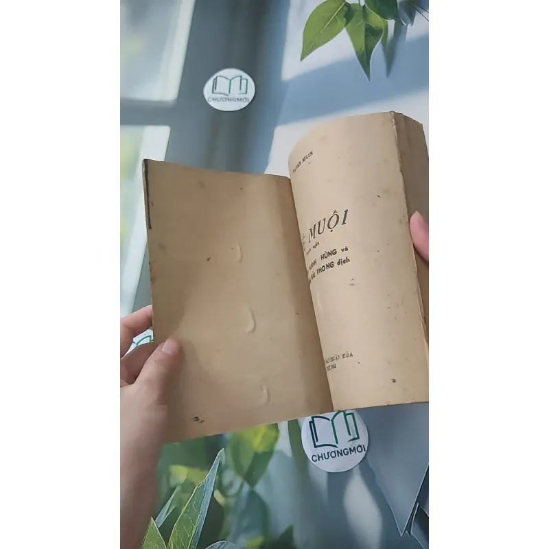 [XƯA] Mê Muội (1987) - Paven Nilin 997734