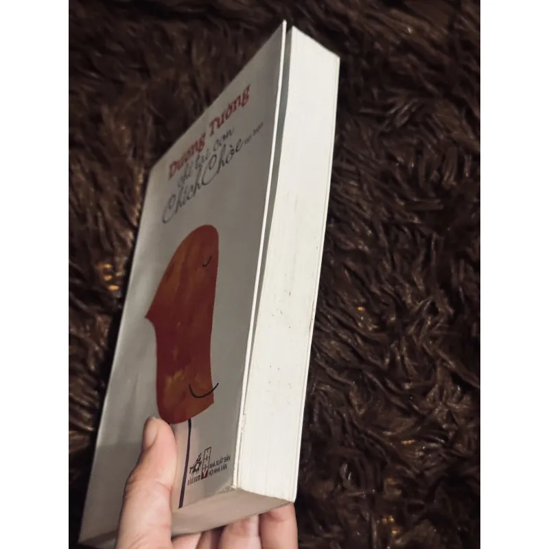 Chỉ tại con chim chích choè 933806