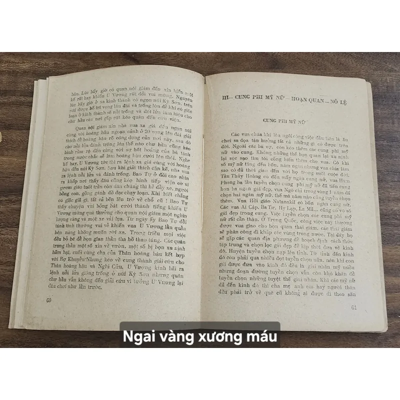 NGAI VÀNG XƯƠNG MÁU - Tủ sách sông Hương 1988 706947