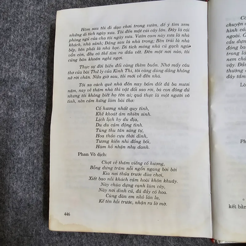 Hải thượng lãng ông nhà y học văn hóa lớn 974641