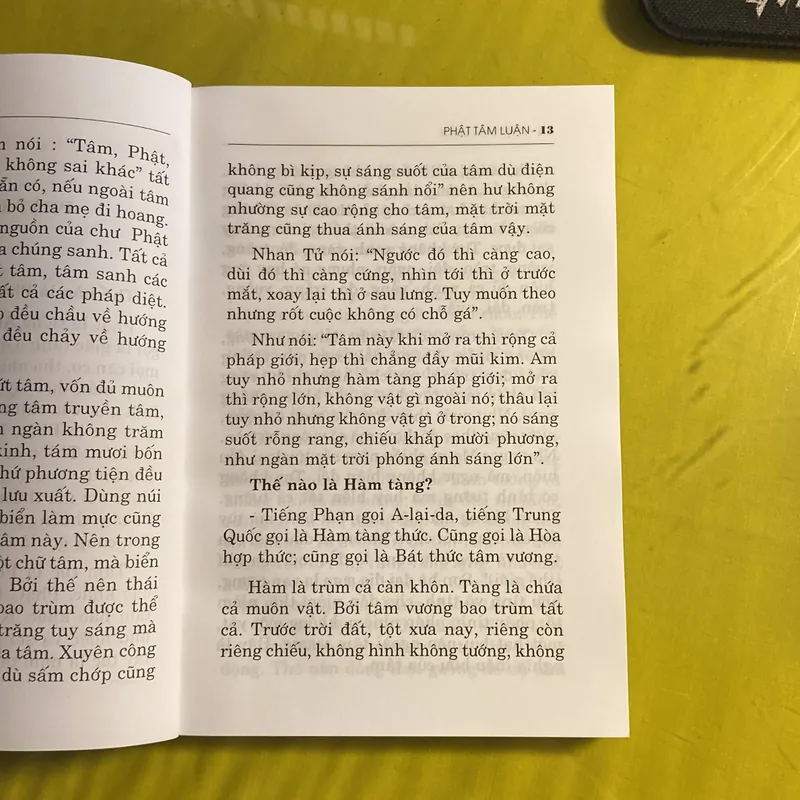 Phật Tâm Luận- Dịch Giả: Thích Phước Hảo 688733
