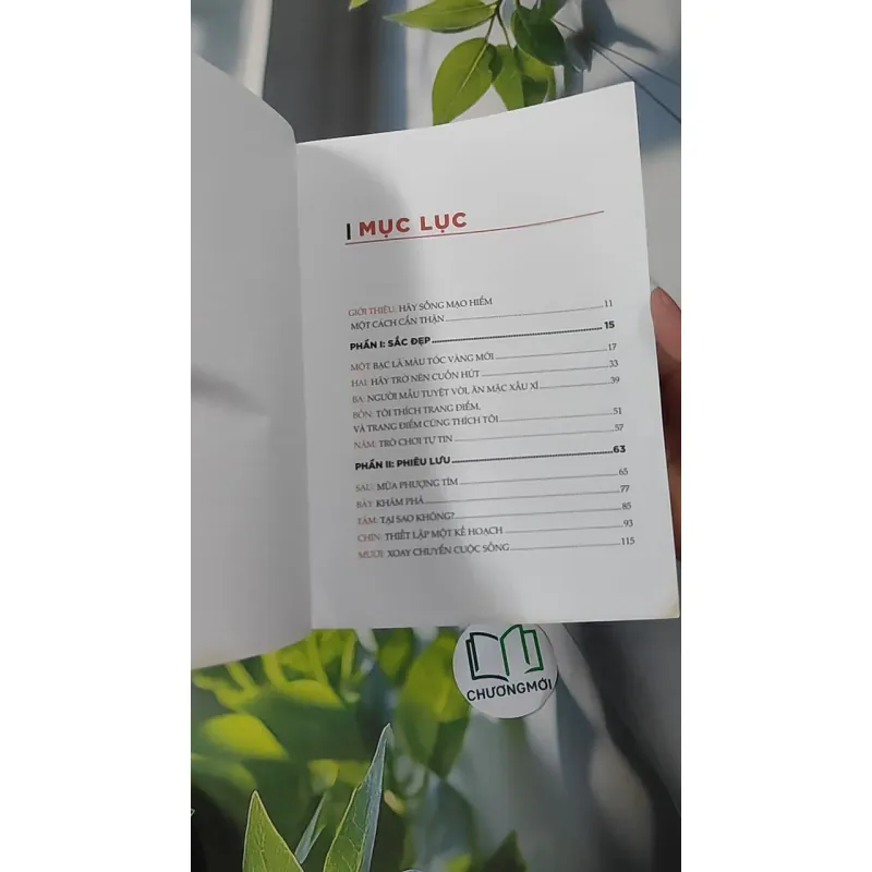 Sống Mạo Hiểm Một Cách Cẩn Thận - Maye Musk 961176