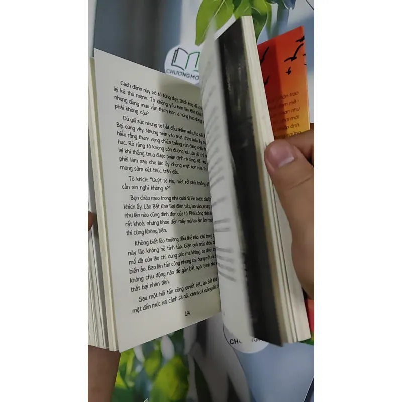 Chuyện Của Bôn Bôn - Chiến Binh Chào Mào - Đoàn Bảo Châu 798485