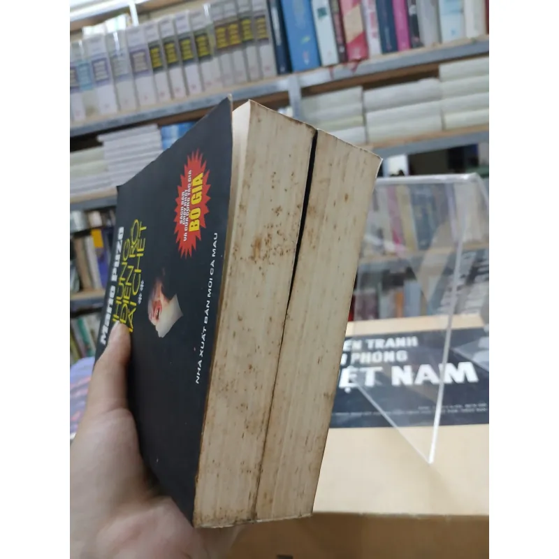NHỮNG KẺ ĐIÊN RỒ PHẢI CHẾT (TRỌN BỘ 2 TẬP) - MARIO PUZO (PHAN QUANG ĐỊNH DỊCH) 1037835