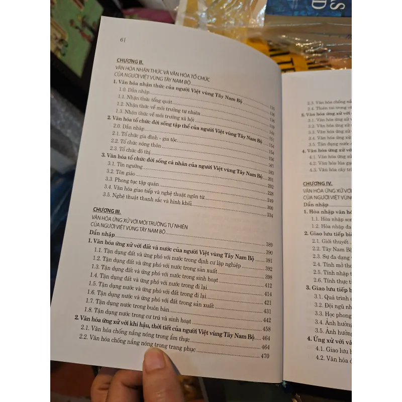 Văn hóa người Việt vùng Tây Nam Bộ  931145