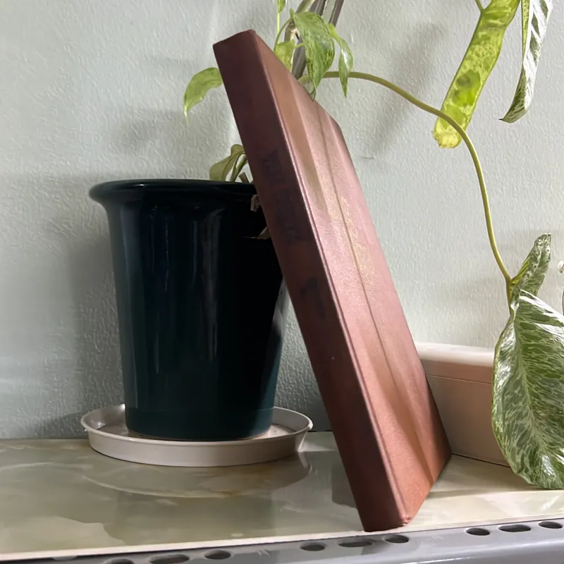 Tiếng nga - xuất bản 1986 746143